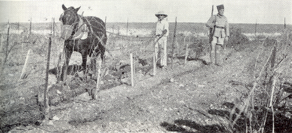 חורש ונוטר המאבטח אותו בתקופת המאורעות, בכרם ברמת רחל