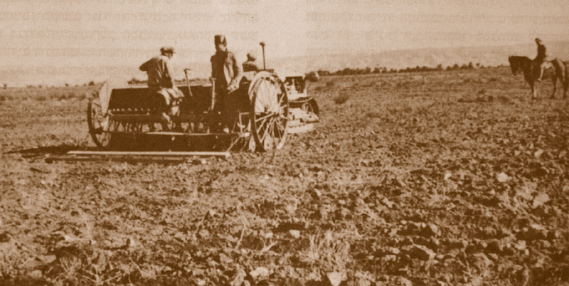 תמונה זריעה בחסות אבטחה של נוטר