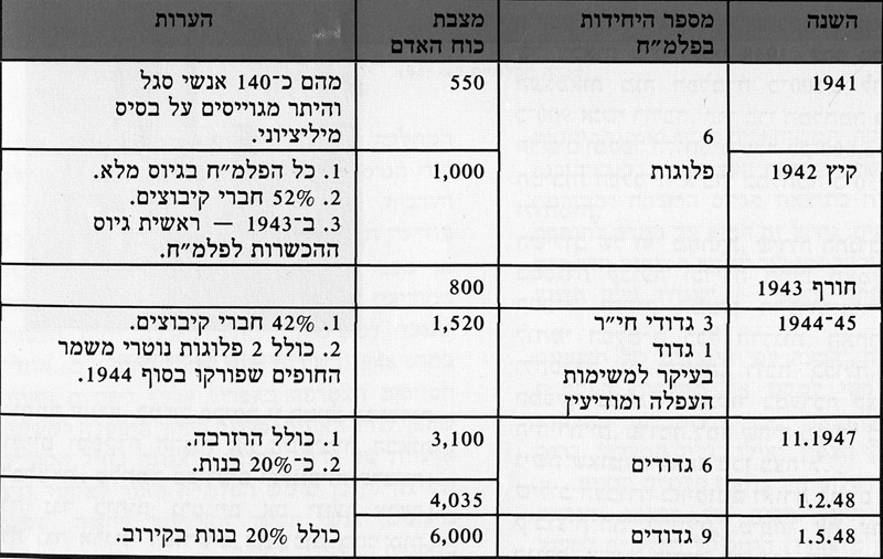 תמונה מצבת כוח האדם בפלמ"ח